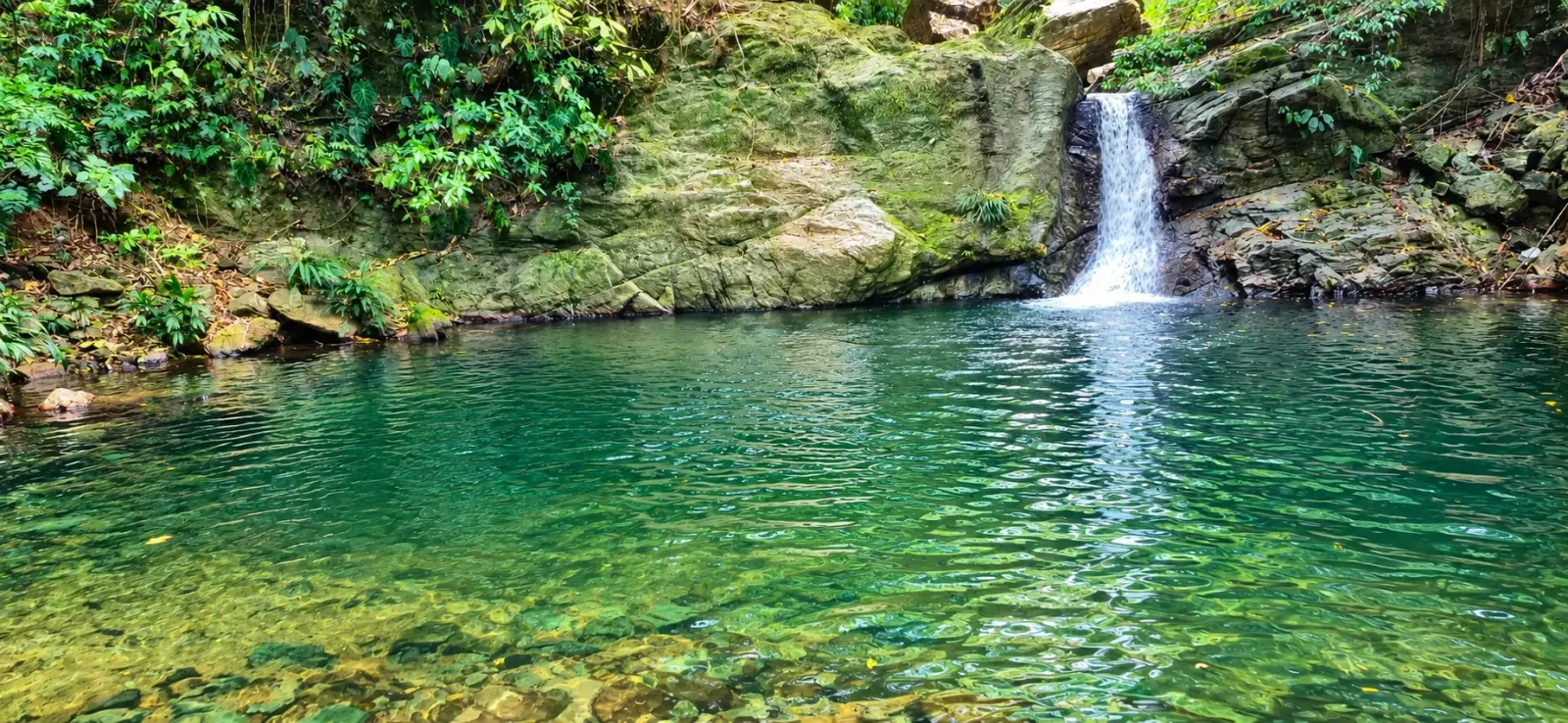 Quebrada Santo Domingo