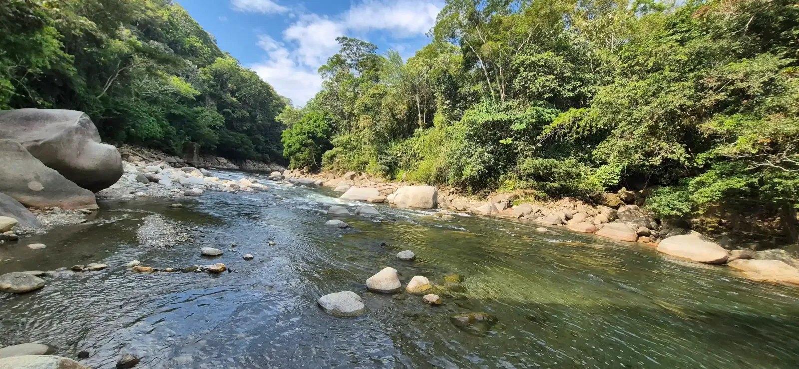 Río La Miel y quebrada Tasajos — foto 3