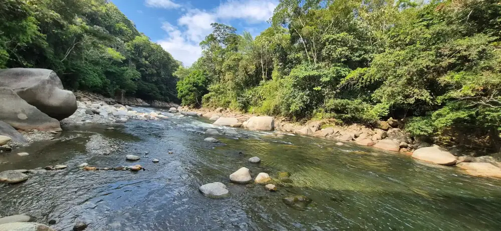 Rio La Miel & Tasajos